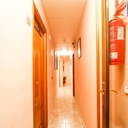Oyo El Gato Segóvia