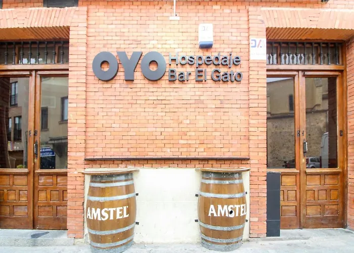 Oyo El Gato 2* Segovia